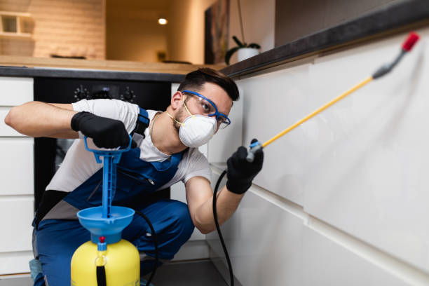 Best Termite Control Services  in Milford, UT