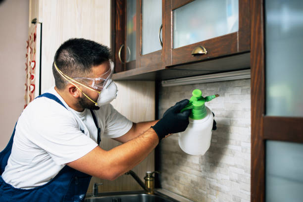 Best Best Pest Control Companies  in Milford, UT