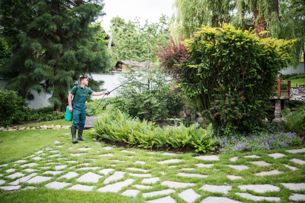 Best Pest Control Near Me  in Milford, UT