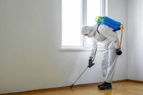 Best Emergency Pest Control  in Milford, UT