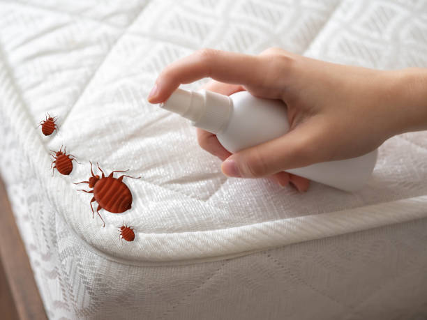 Best Pest Prevention Services  in Milford, UT