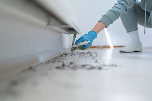 Best Pest Control Treatment  in Milford, UT