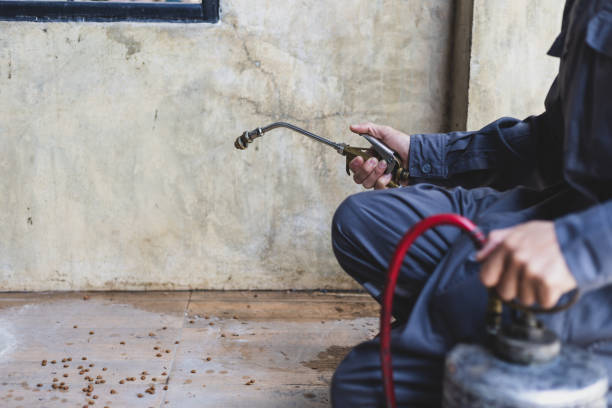 Best Pest Inspection Near Me  in Milford, UT